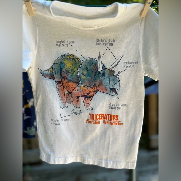 Carter’s Triceratops Tee Set 3T - Picture 2 of 6